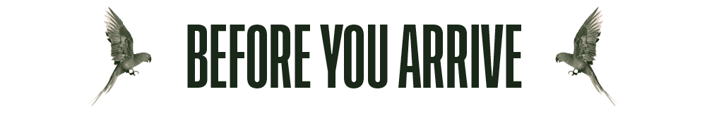 BeforeYouArrive.png