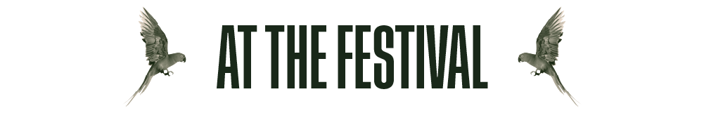 AtTheFestival.png